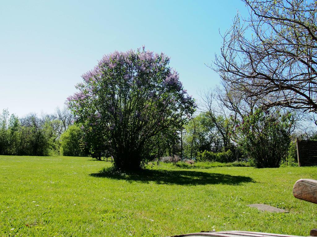Gite De Charme Au Bord Du Tarn Marssac-sur-Tarn Bagian luar foto