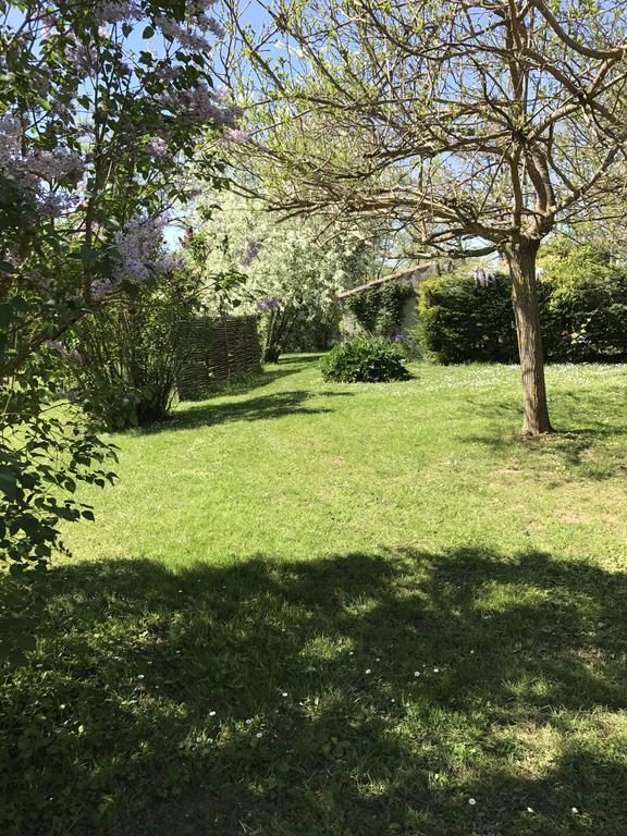 Gite De Charme Au Bord Du Tarn Marssac-sur-Tarn Bagian luar foto